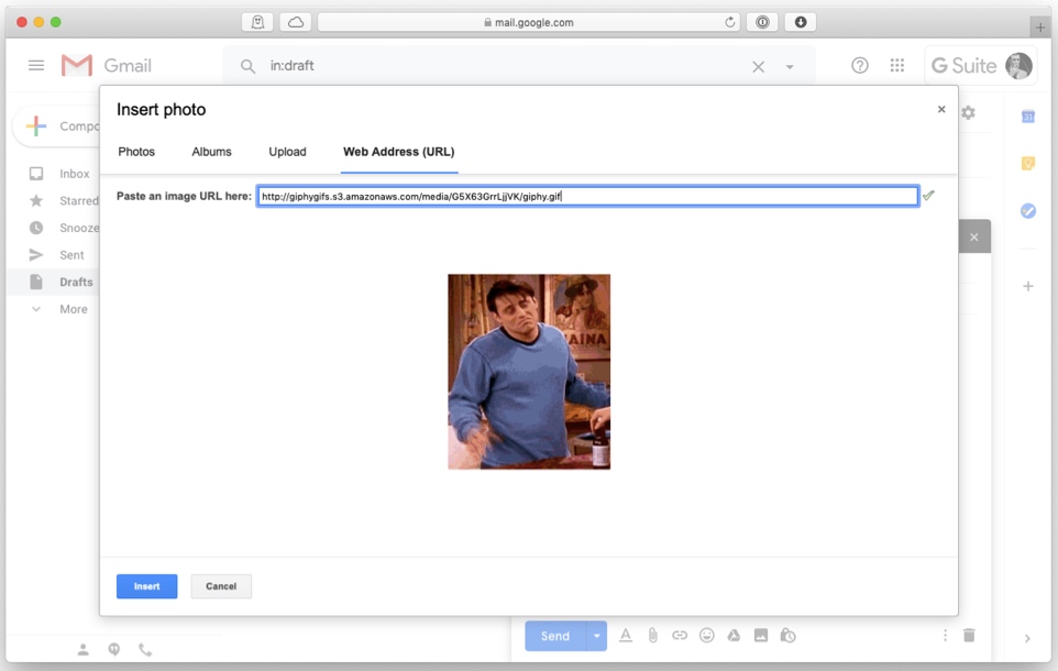 gif 插入 gmail mac 电子邮件