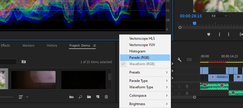 2-premiere parade rgb.jpg