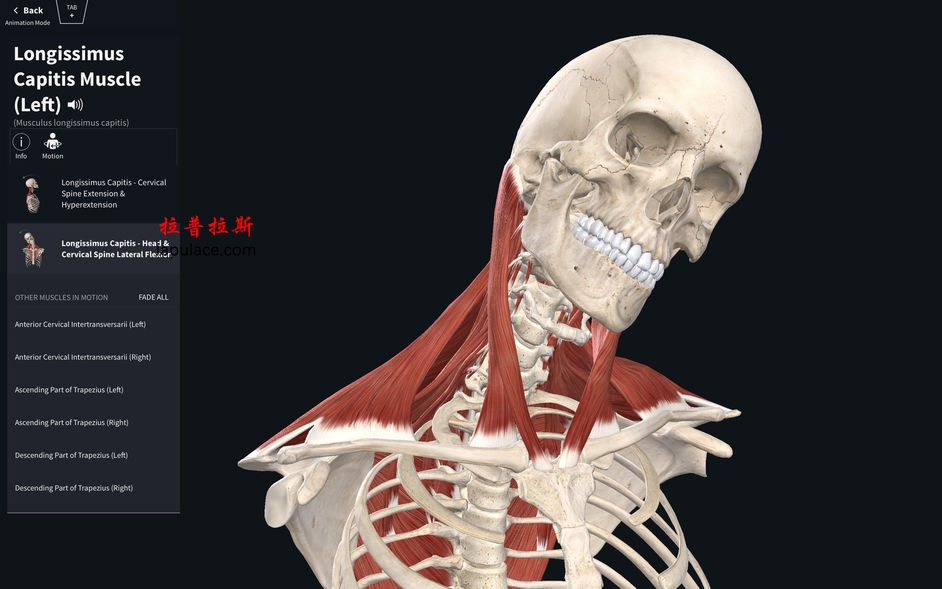 Complete Anatomy 2019 for Mac v4.0.1 三维人体解剖模型 破解版下载