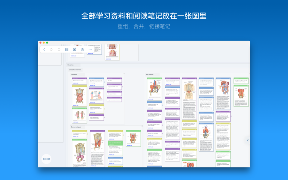 MarginNote 3 for Mac v3.2.1 阅读和学习工具 中文破解版下载