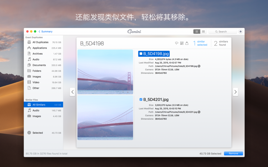 Gemini 2 for Mac v2.5.0 智能重复文件查找器 中文破解版下载