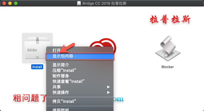 1553564684274197.png Adobe Bridge_2.png