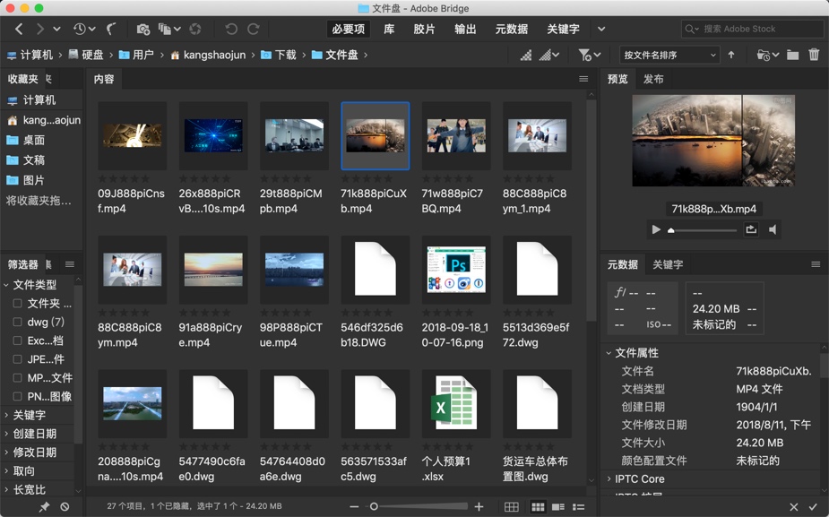 adobe bridge 2020 mac download adobe bridge 2020 mac download