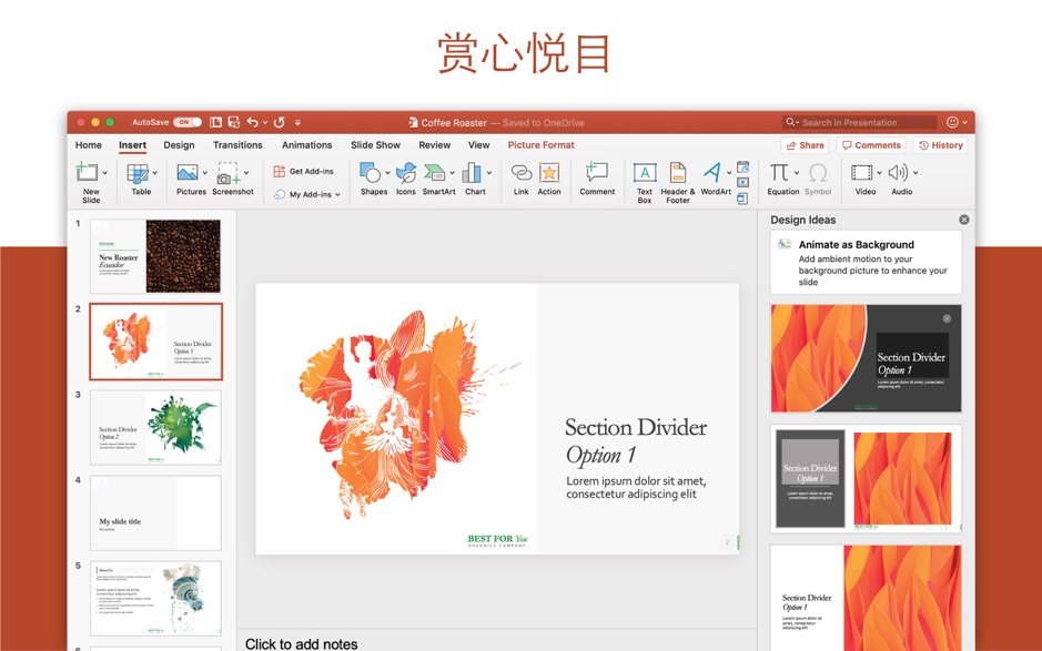 Microsoft PowerPoint 2019 for Mac v16.24.1 办公软件PPT 中文破解版下载