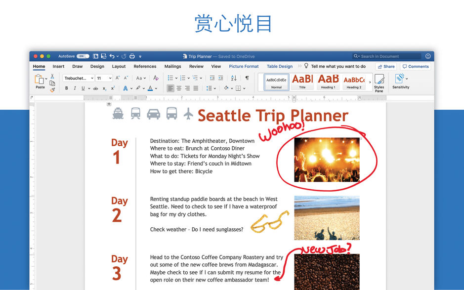 Microsoft Word 2019 for Mac v16.24 办公软件必备 中文破解版下载