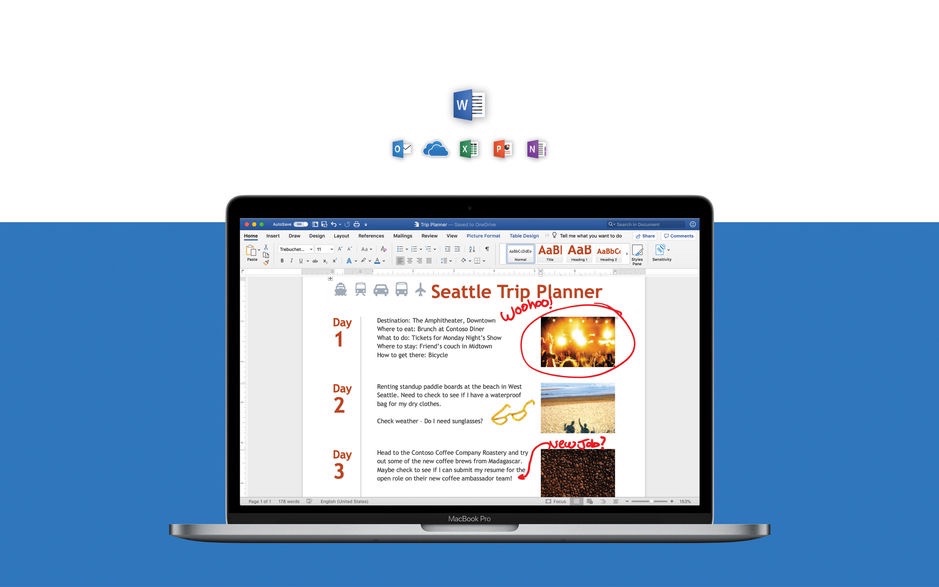 Microsoft Word 2019 for Mac v16.24 办公软件必备 中文破解版下载