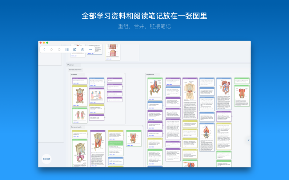 MarginNote 3 for Mac v3.3.6 高效阅读和学习工具 中文破解版下载