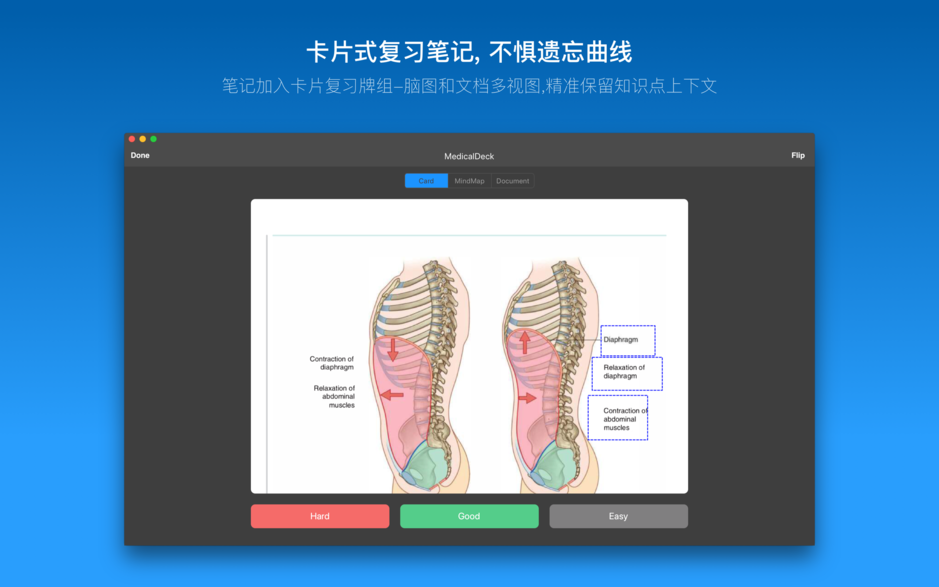MarginNote 3 for Mac v3.3.6 高效阅读和学习工具 中文破解版下载
