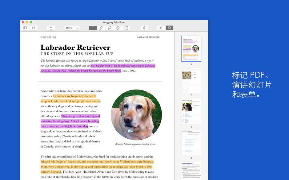 Notability for Mac 3.1 强大的备注记录软件 中文破解版下载