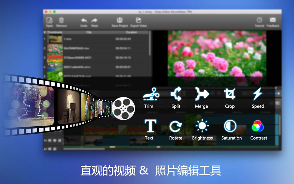 MovieMator Video Editor Pro for Mac v2.6.1 剪大师专业版 破解版下载