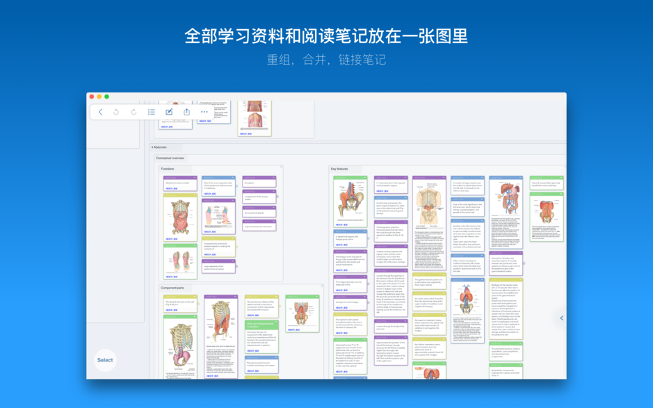 MarginNote 3 Mac版 v3.4.2 高效阅读和学习工具 中文破解版下载