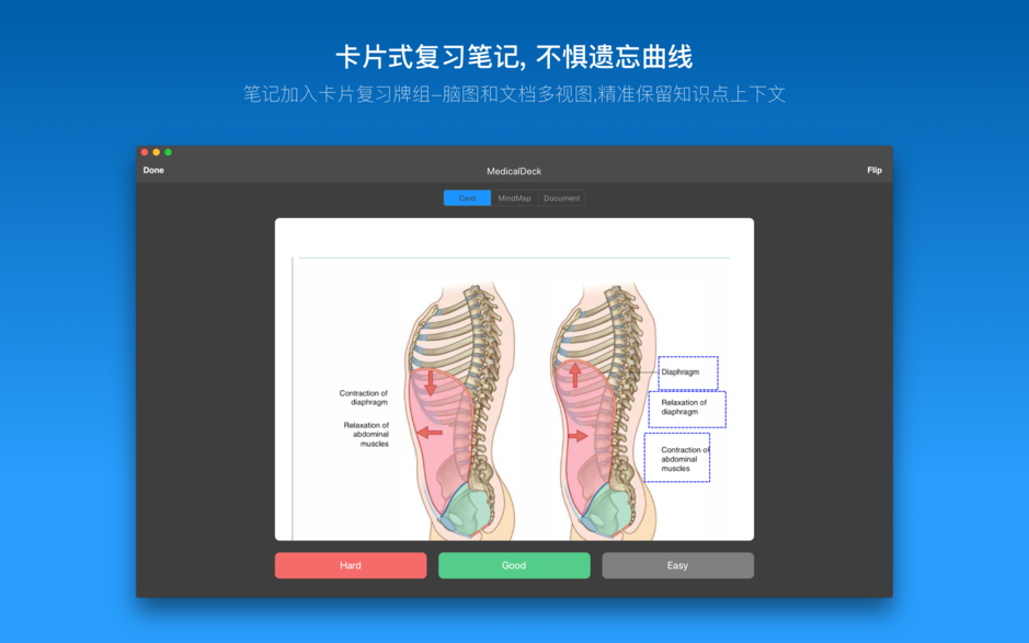 MarginNote 3 Mac版 v3.4.2 高效阅读和学习工具 中文破解版下载