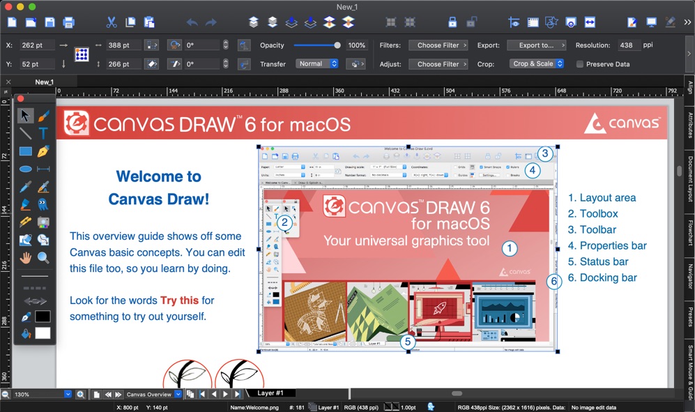 Canvas Draw Mac版 v6.0 通用图形设计软件 破解版下载