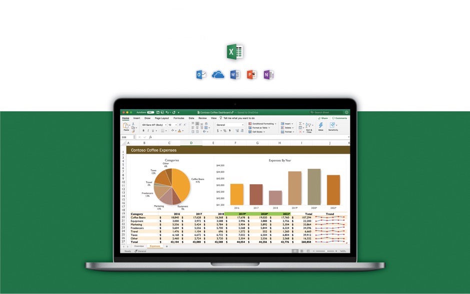 Microsoft Excel 2019 for Mac v16.29 必备办公软件 中文破解版下载