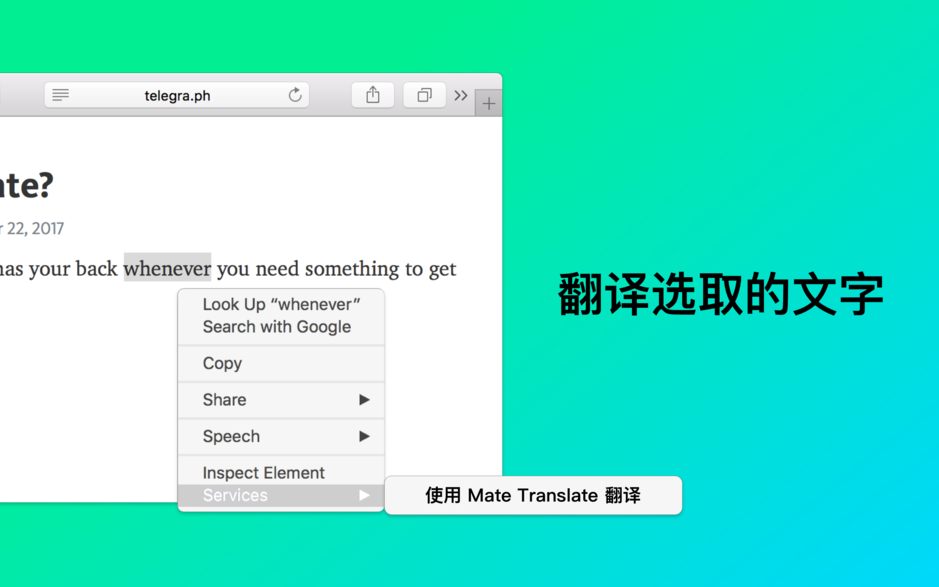 Mate Translate Mac版 v6.1.3 即时翻译软件 中文版下载