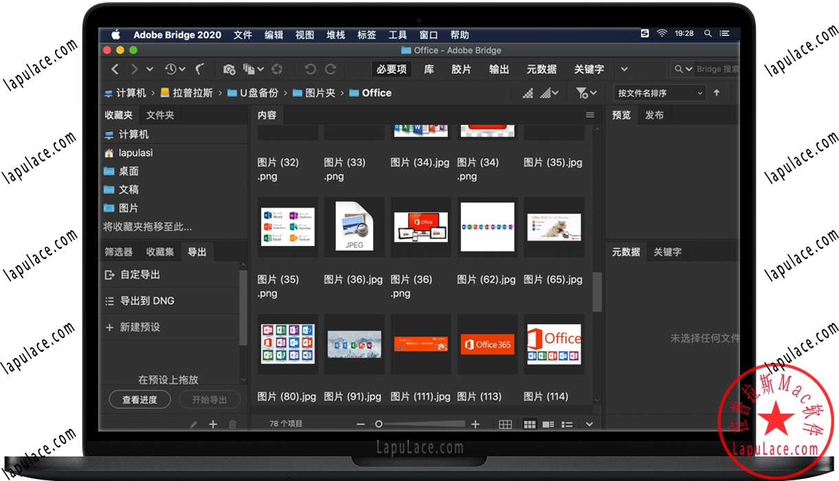 Bridge 2020 for Mac 数字资产管理软件 中文破解版下载