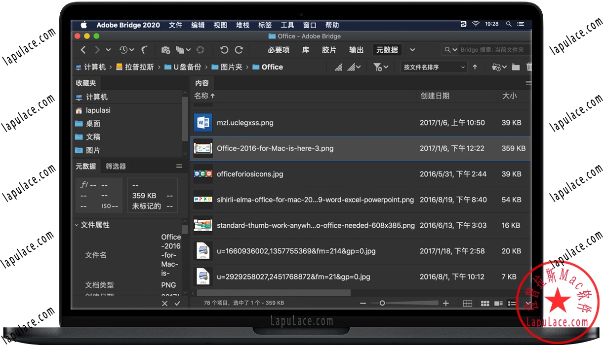 Bridge 2020 for Mac 数字资产管理软件 中文破解版下载