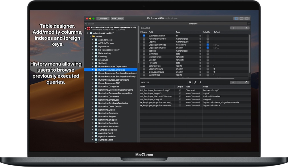 Mac版SQLPro for MSSQL Microsoft SQL Server数据库客户端 破解版下载